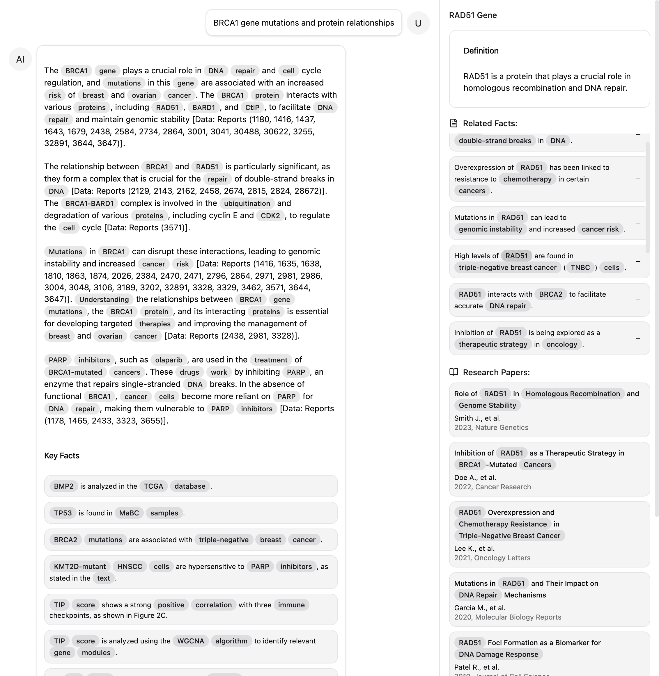 factforge.ai interface screenshot